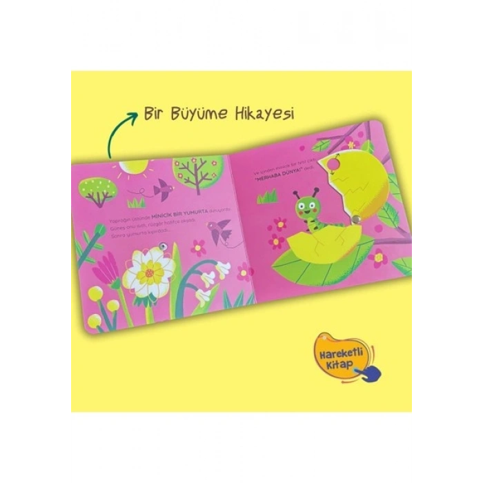 Artık Hazırım! Kelebek Olmaya (Oyunlu Kitap)