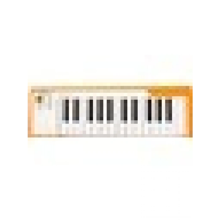 Arturia MicroLab Turuncu