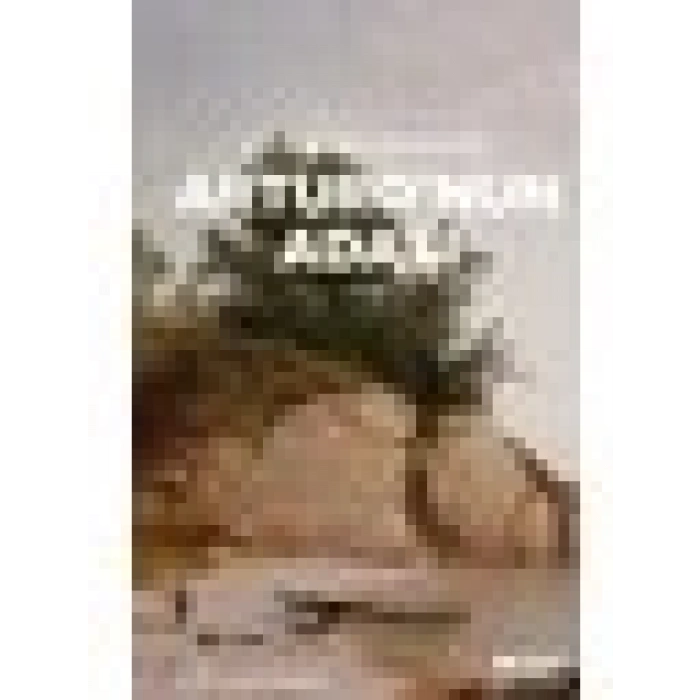 Arturo’nun Adası - Elsa Morante