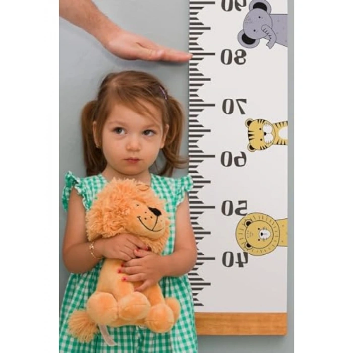 Asılabilir Ahşap Duvar Boy Ölçer