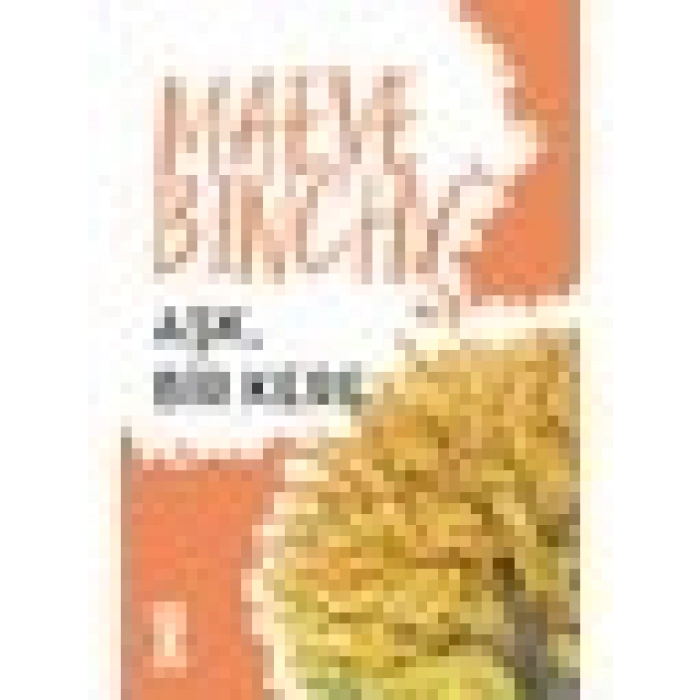 Aşk, Bir Kere - Maeve Binchy
