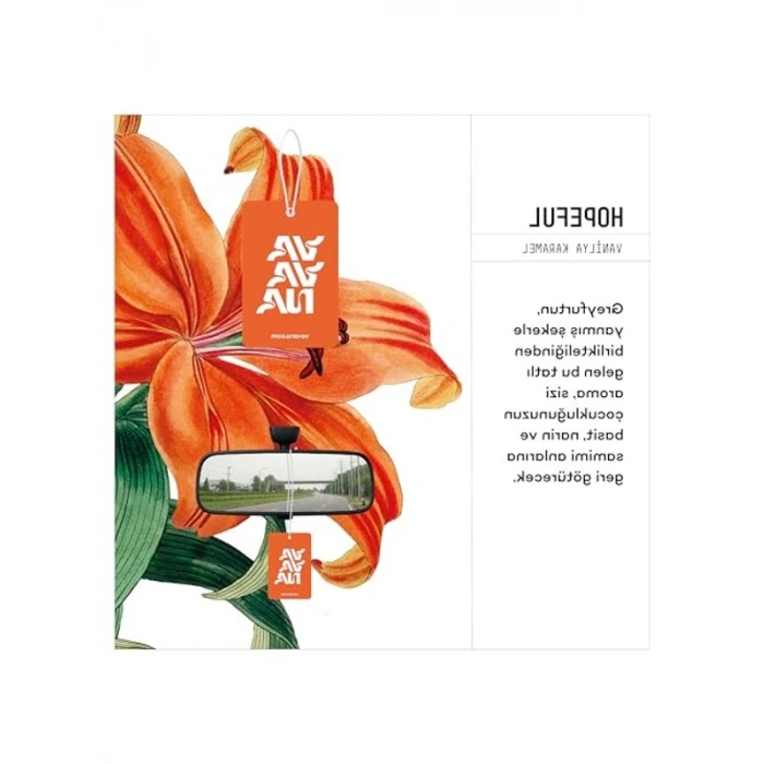 Asma Araç Kokusu, 30 Gün Etkili Kağıt Koku Seti, Vanilya ve Karamel