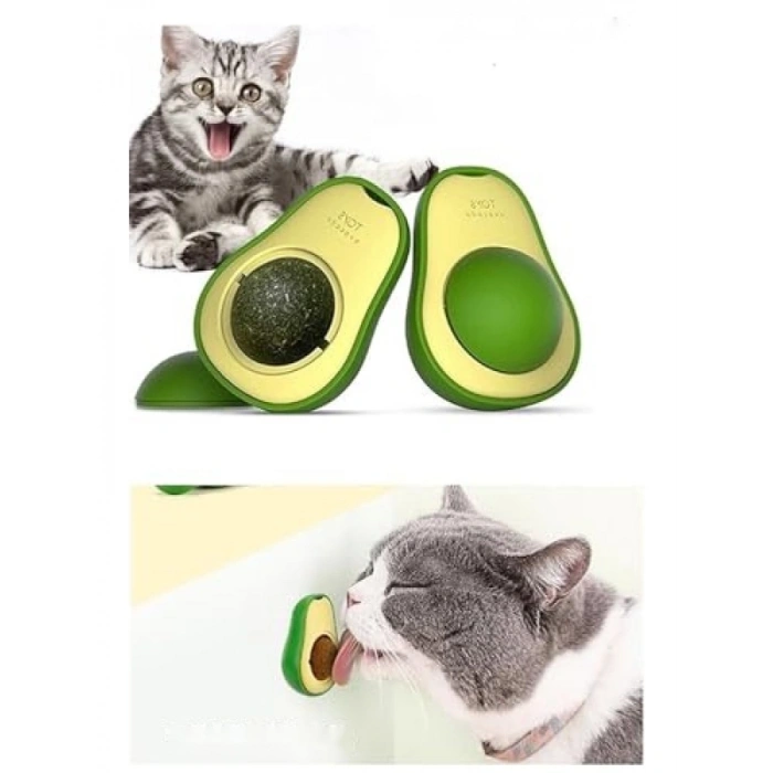 Avokado Kedi Çimi Topu - Doğal ve Eğlenceli