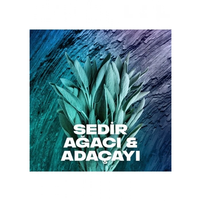 Axe Erkek Deodorant & Bodyspray Apollo 48 Saat Etkileyici Koku 150 ML