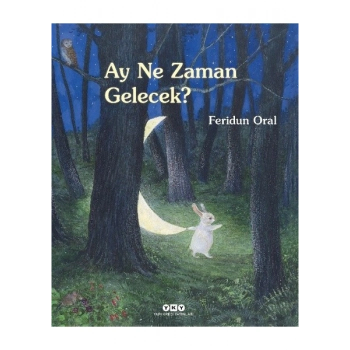 Ay Ne Zaman Gelecek? - Feridun Oral