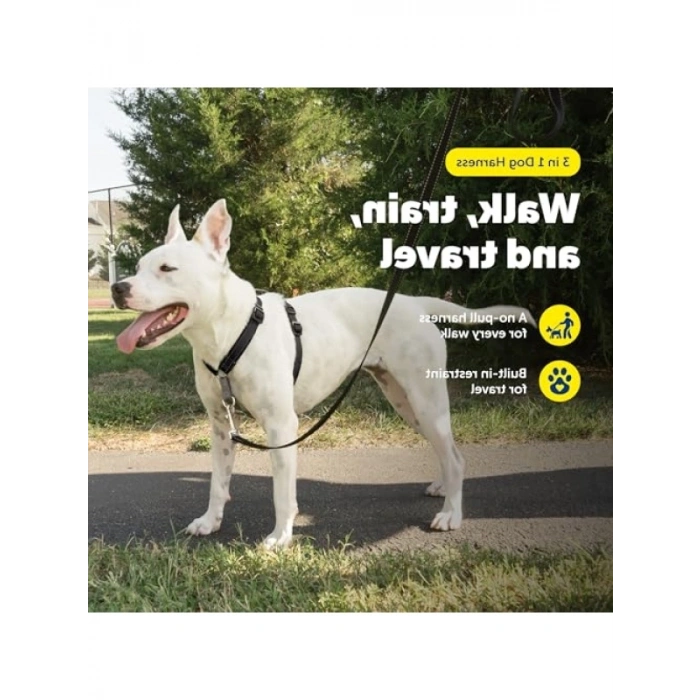 Ayarlanabilir 3ü 1 Arada Köpek Koşum Kayışı