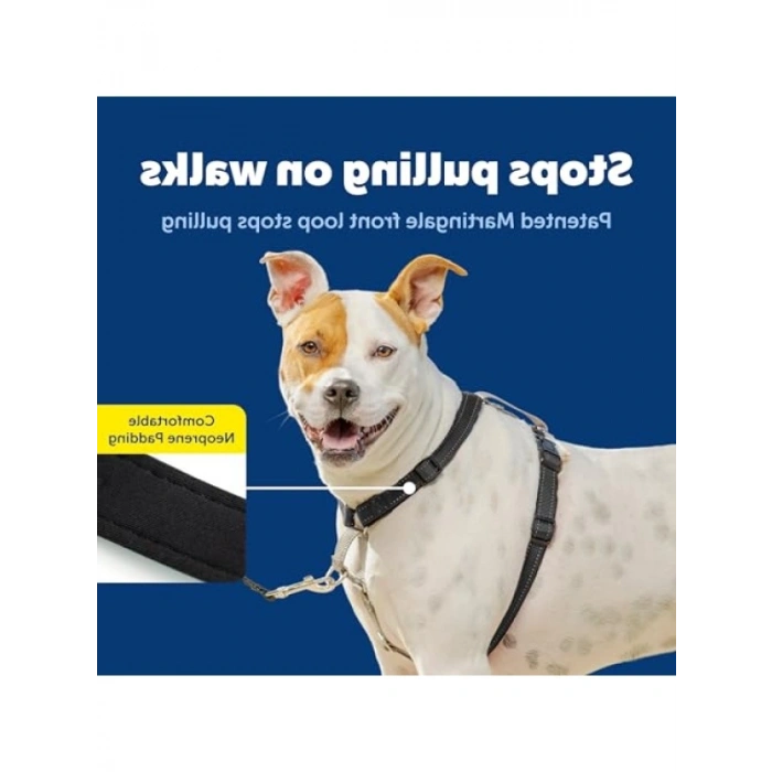 Ayarlanabilir 3ü 1 Arada Köpek Koşum Kayışı