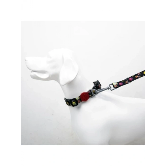 Ayarlanabilir D Halka ile M Boy Köpek Boyun Tasması