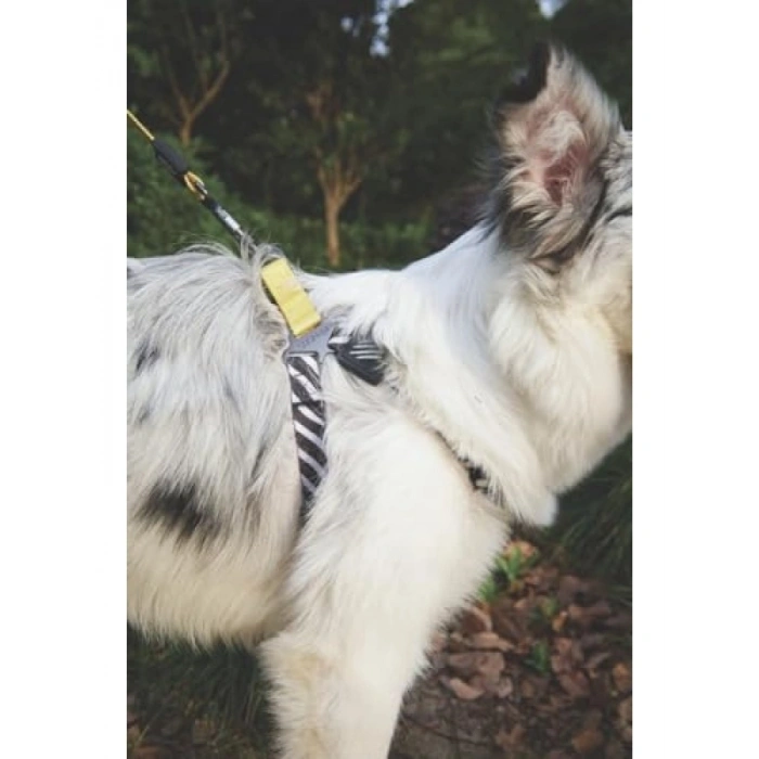 Ayarlanabilir Harness - XS Boy