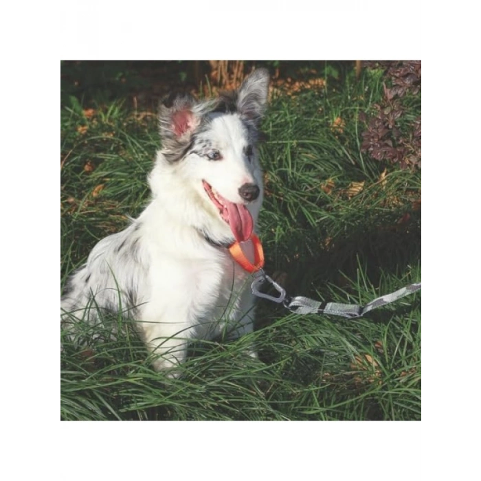 Ayarlanabilir Kedi Yaka (S)