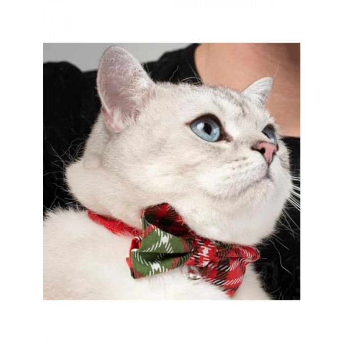 Ayarlanabilir Papyonlu Kedi Tasması