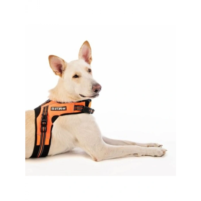 Ayarlanabilir Reflektörlü Soft Göğüs Tasması - Turuncu (S)