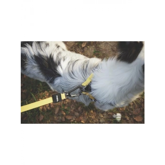 Ayarlanabilir Regular Boy Tasma (Küçük-Orta)