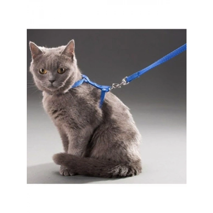 Ayarlanabilir ve Konforlu Kedi Tasması - 110 cm