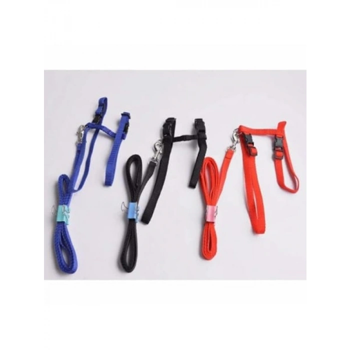 Ayarlanabilir ve Konforlu Kedi Tasması - 110 cm