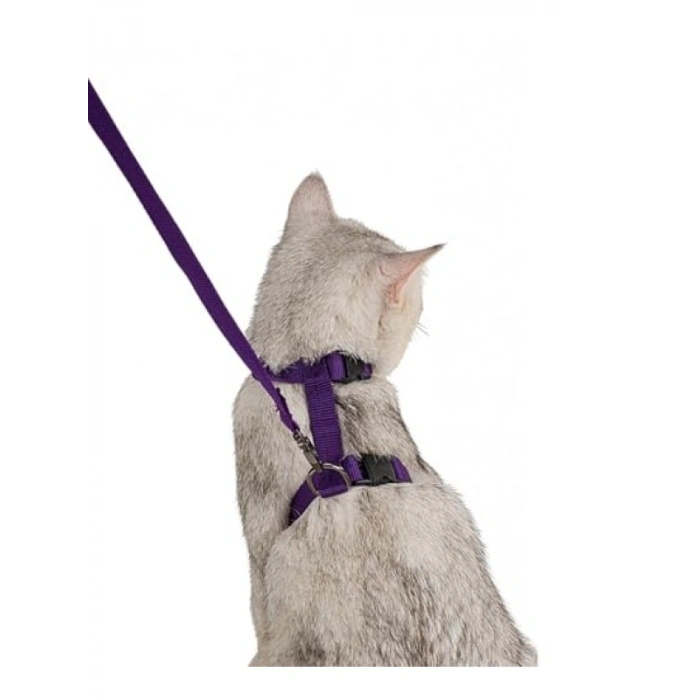Ayarlanabilir ve Konforlu Kedi Tasması - 110 cm