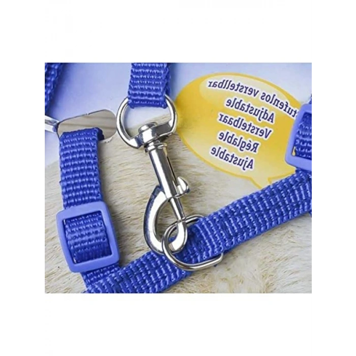 Ayarlanabilir ve Şık Kedi Gezdirme Tasması 120 cm Mavi