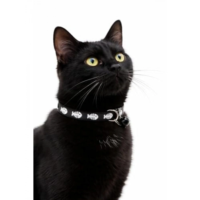 Ayarlanabilir Zilli Kedi Boyun Tasması - Siyah