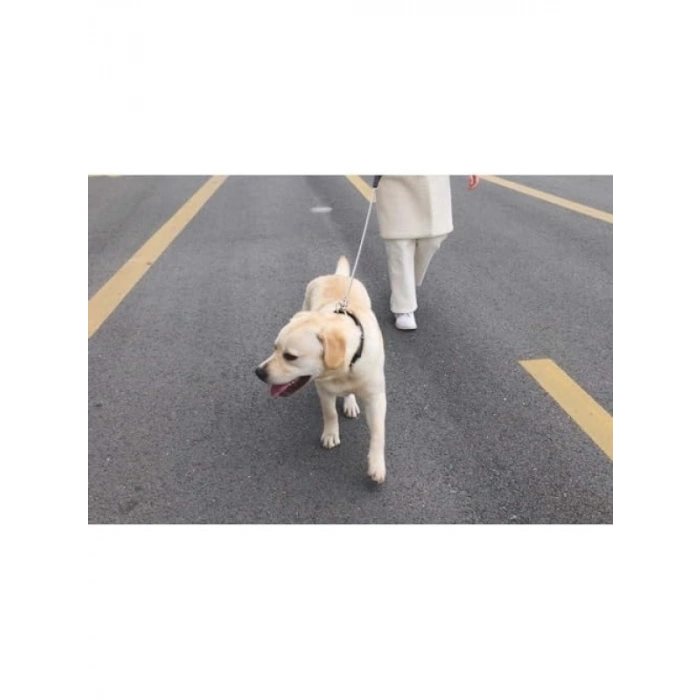 Ayarlanabilir Zincir Gezdirme - 4mm Kalınlık, 120cm Uzunluk