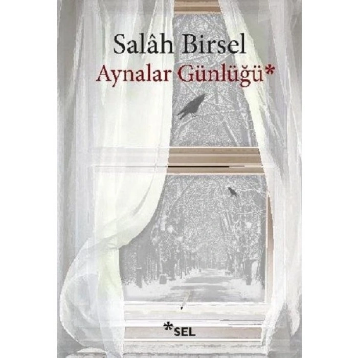 Aynalar Günlüğü - Salah Birsel