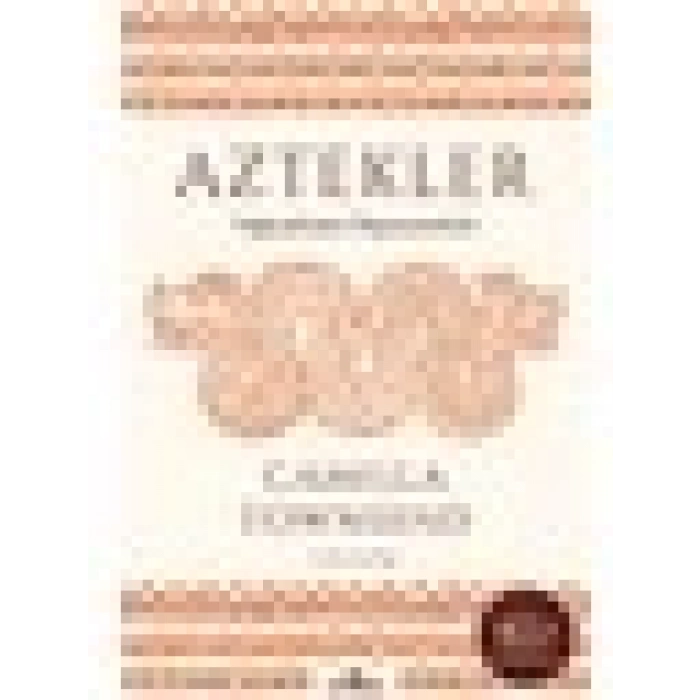 Aztekler - Camilla Townsend