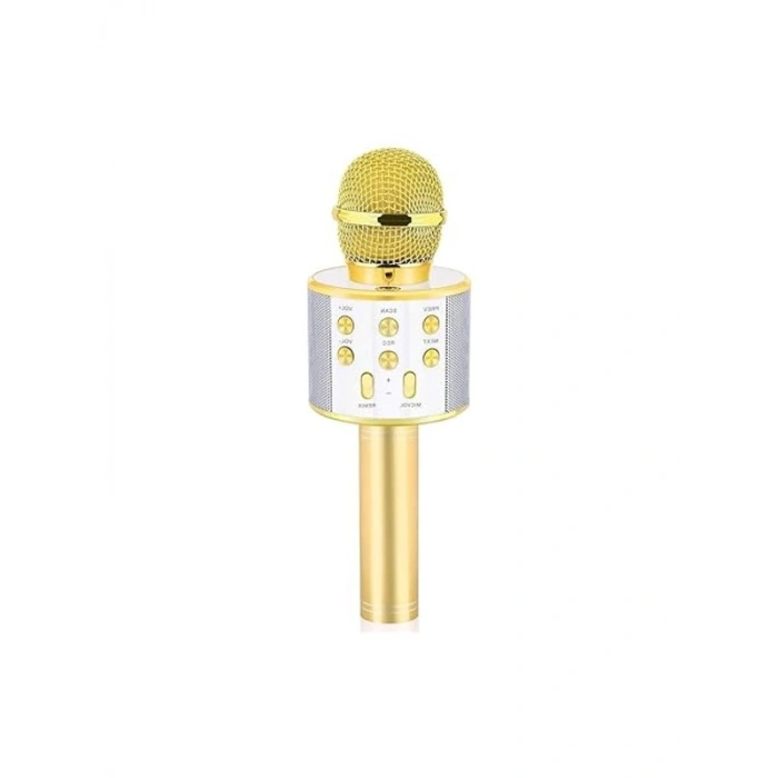 Babilden C-8501 Karaoke Mikrofon Bluetooth USB & TF & Aux (Gold)