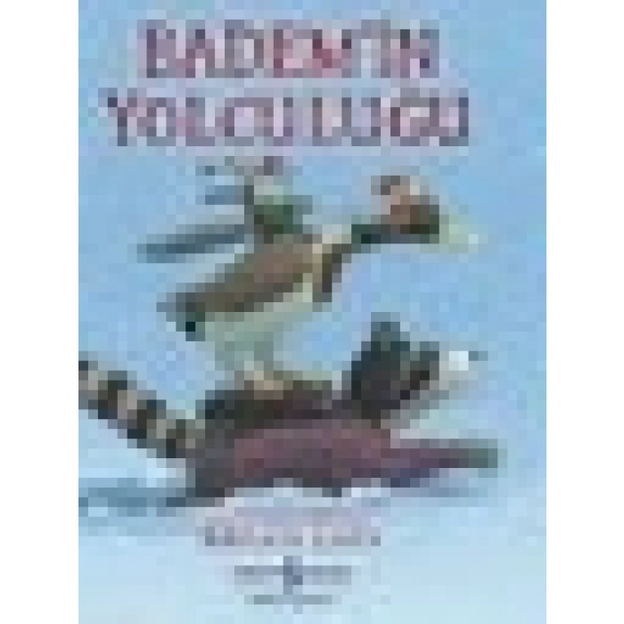 Badem’in Yolculuğu - Brian Lies