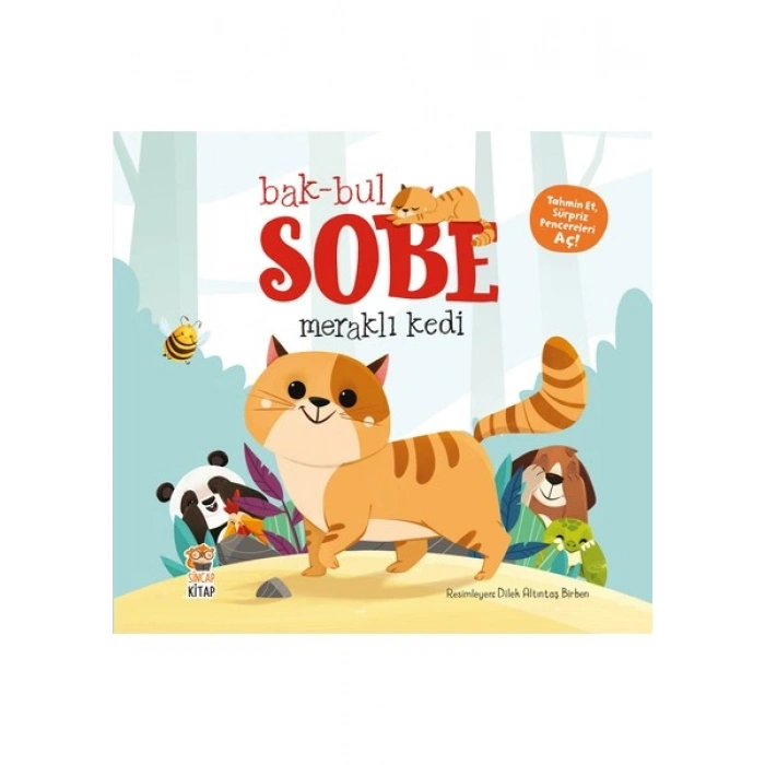 Bak-Bul-Sobe Meraklı Kedi