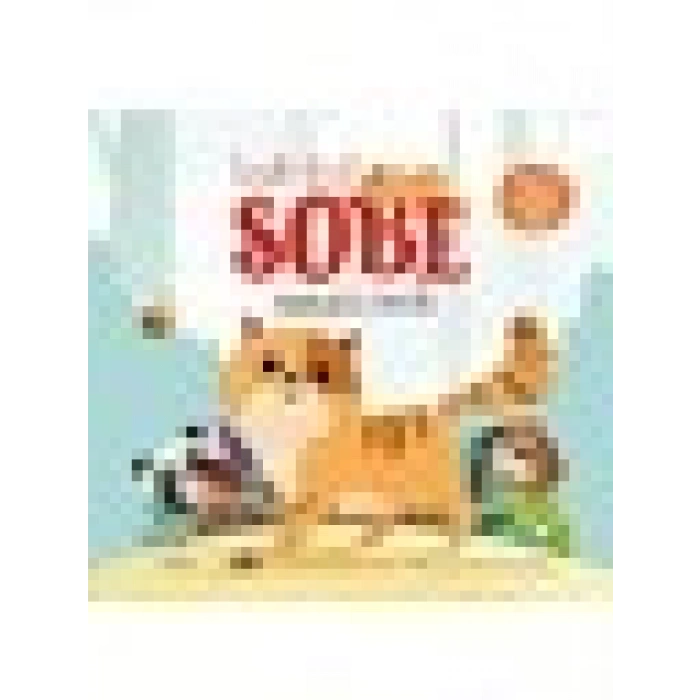 Bak-Bul-Sobe Meraklı Kedi