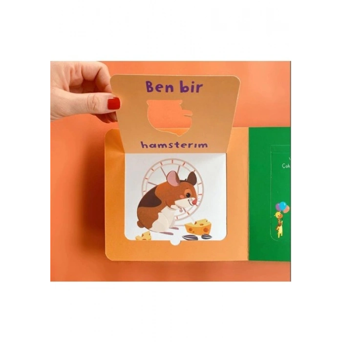 Bak-Bul-Sobe Oyuncu Zürafa