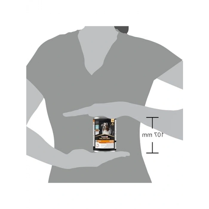 Balıklı Konserve Yaş Köpek Maması 400 Gram