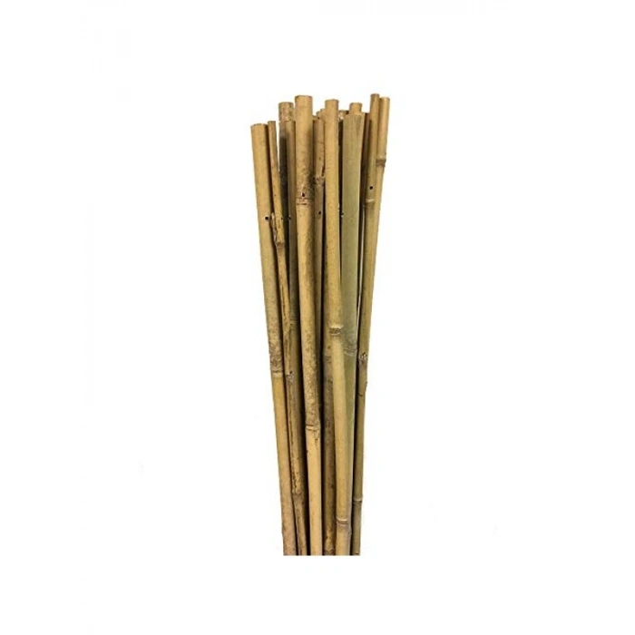 Bambu destek çubuğu, 10lu set halinde 150 cm uzunluğunda