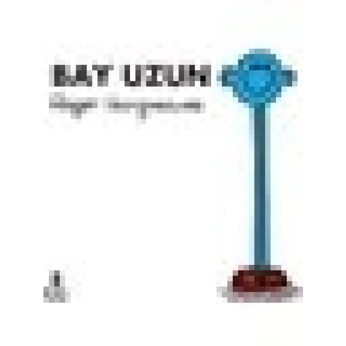 Bay Uzun - Roger Hargreaves