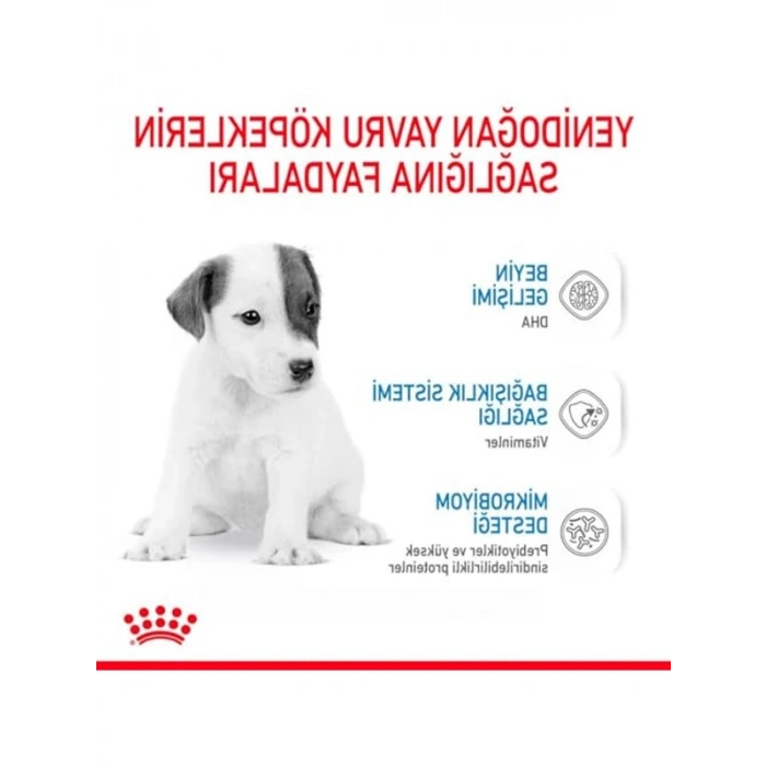 Bebek Köpek Sütü, 400 Gr, Büyüme Desteği