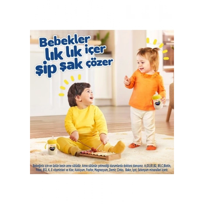 Bebelac 4 Çocuk Devam Sütü 1 Yaş+ 400 Gr