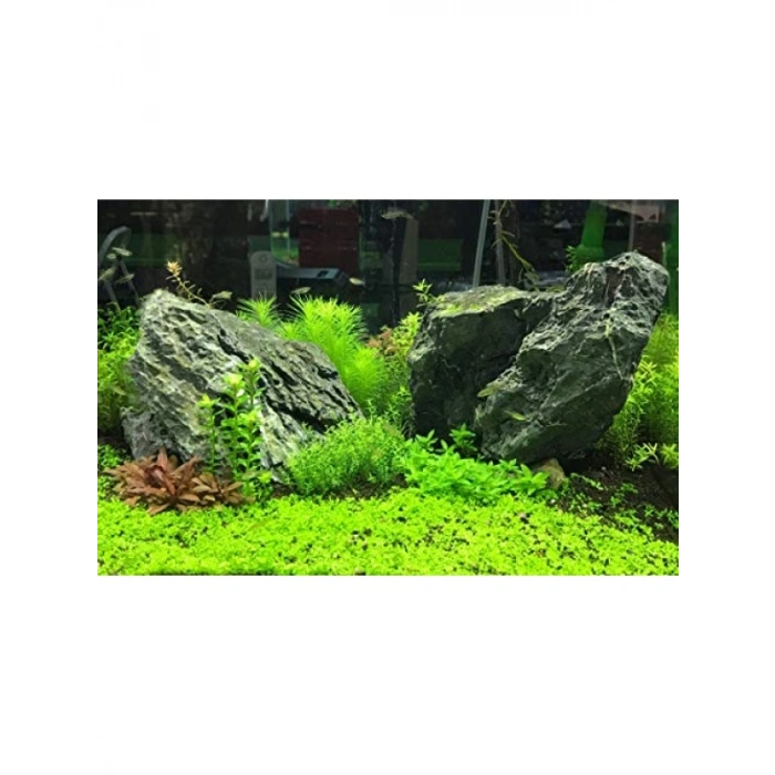 Besleyici Akvaryum Ürünü - 500 ML