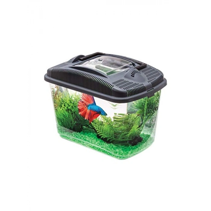 Betta Balığı İçin Akvaryum Seti