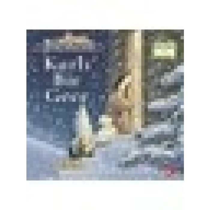 Beyaz Balina Yayınları Karlı Bir Gece (Organik Kitap) - Nick Butterworth