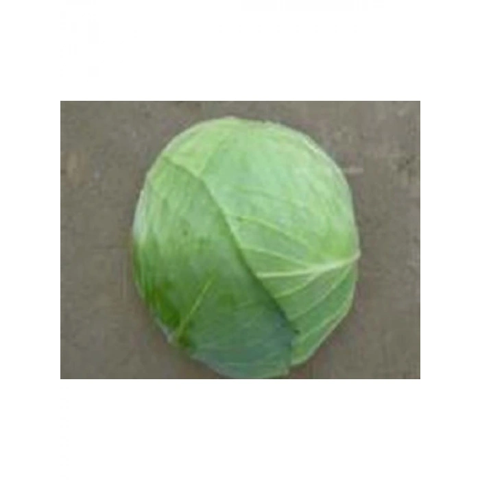 Beyaz Lahana Tohumu - Aksel 10 gr