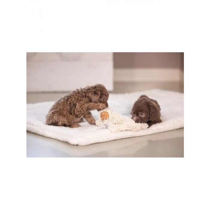 Beyaz Peluş Yavru Köpek Oyuncağı, 37x28x4 cm