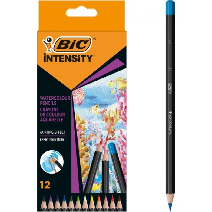 Bic Intensity Aquacolor Sulandırılabilir Kalem Seti 12 Renk