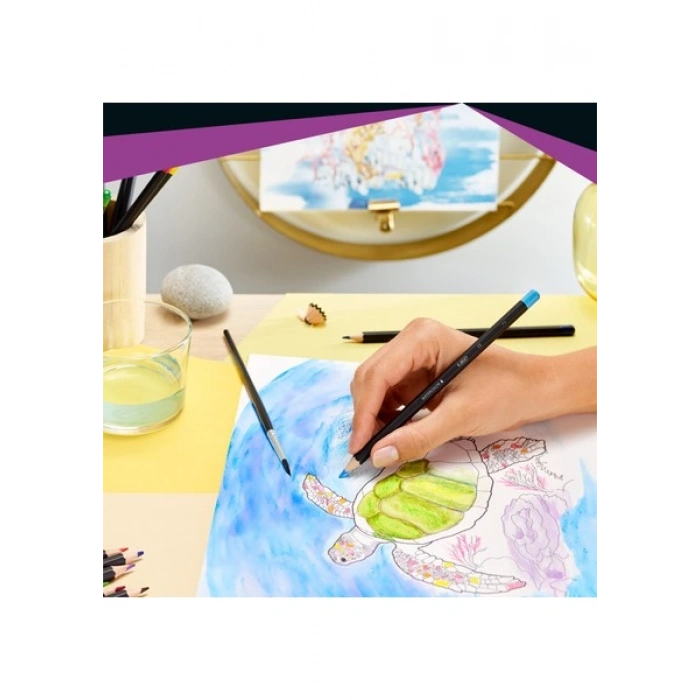 Bic Intensity Aquacolor Sulandırılabilir Kalem Seti 12 Renk