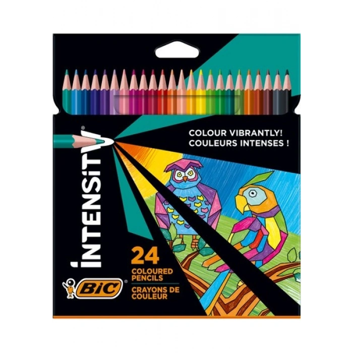 Bic Intensity Color Up Kuru Boya Kalemi 24 RENK / 9641481