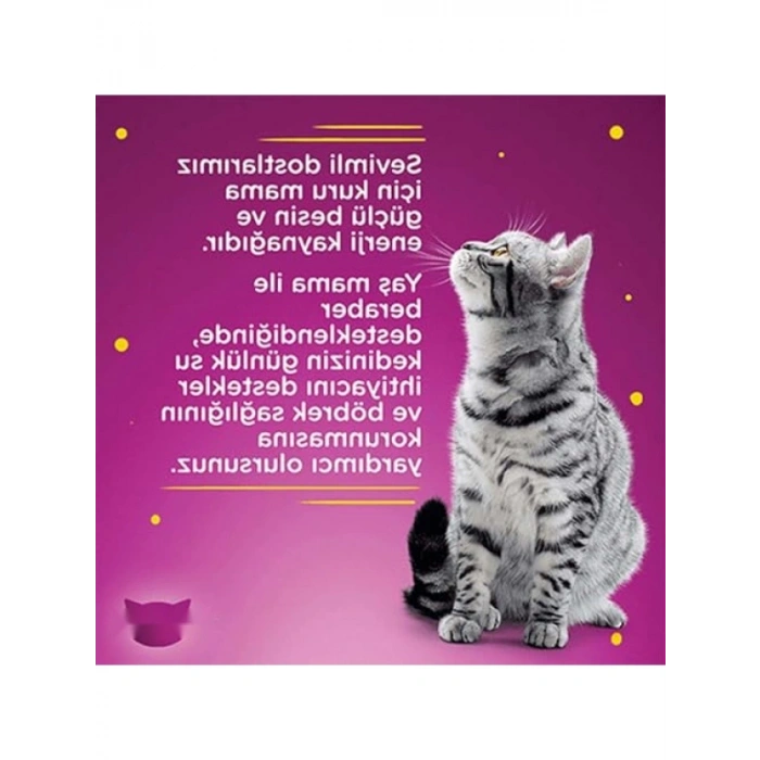 Biftekli Konserve Kedi Maması, 400 G