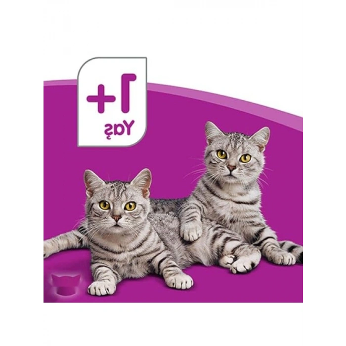 Biftekli Konserve Kedi Maması, 400 G