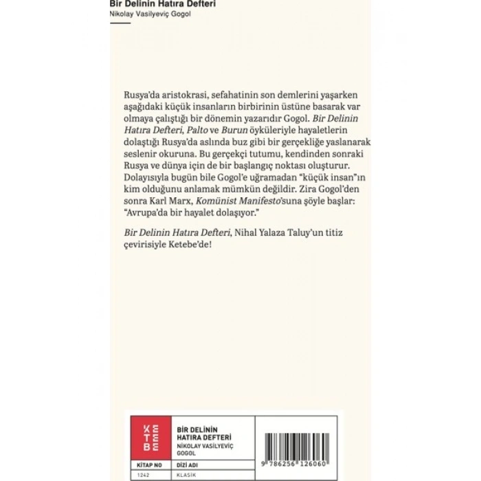 Bir Delinin Hatıra Defteri - Nikolay Vasilyeviç Gogol