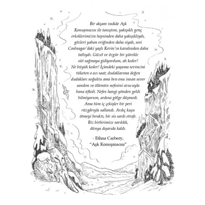 Bir Elfhame Romanı 2 Tutsağın Tahtı - Holly Black