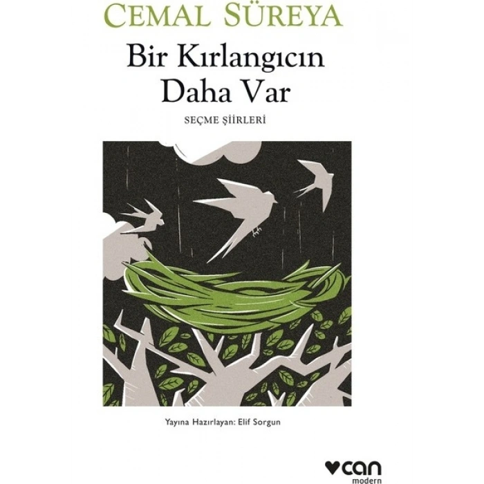 Bir Kırlangıcın Daha Var - Bir Kırlangıcın Daha Var