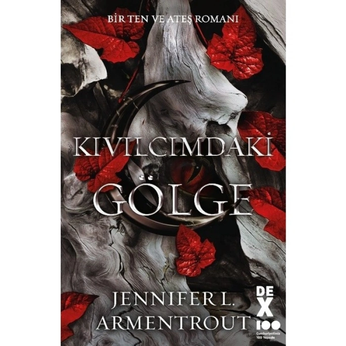 Bir Ten ve Ateş Romanı: Kıvılcımdaki Gölge - Jennifer L. Armentrout