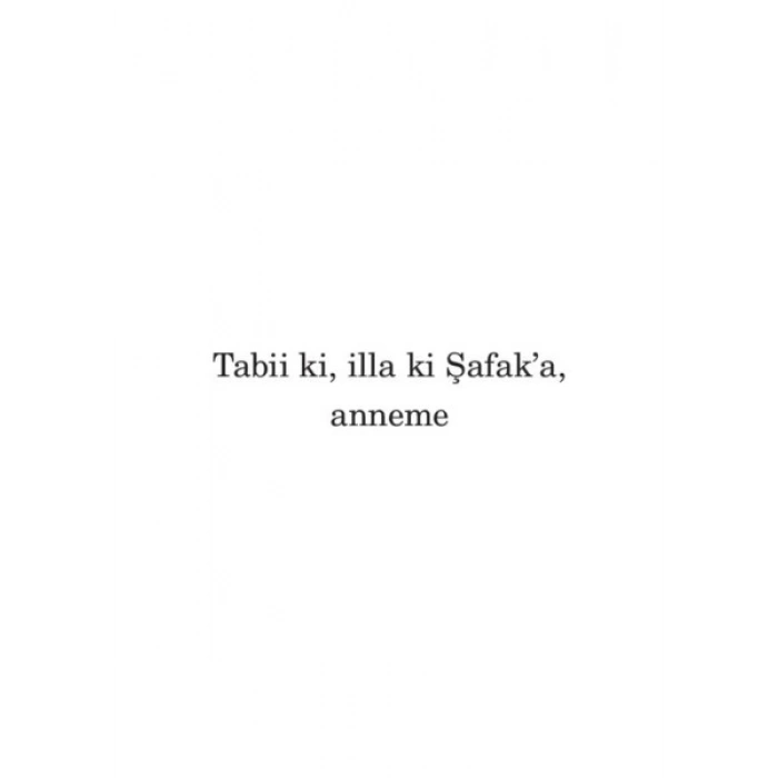 Bit Palas - Elif Şafak